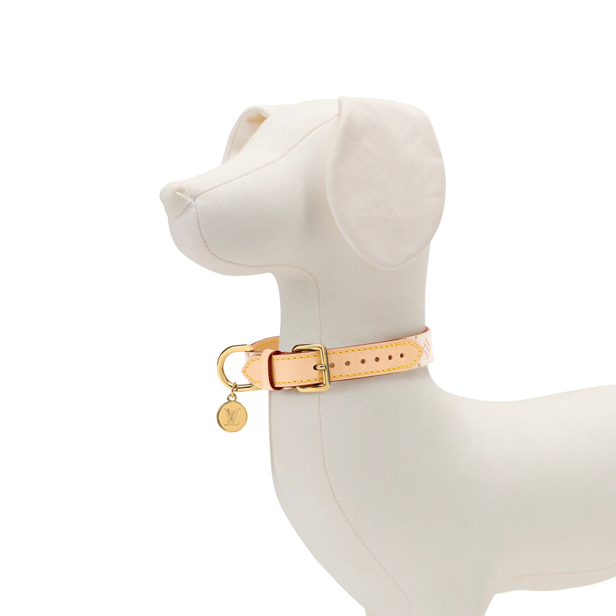 Dog Collar XS
