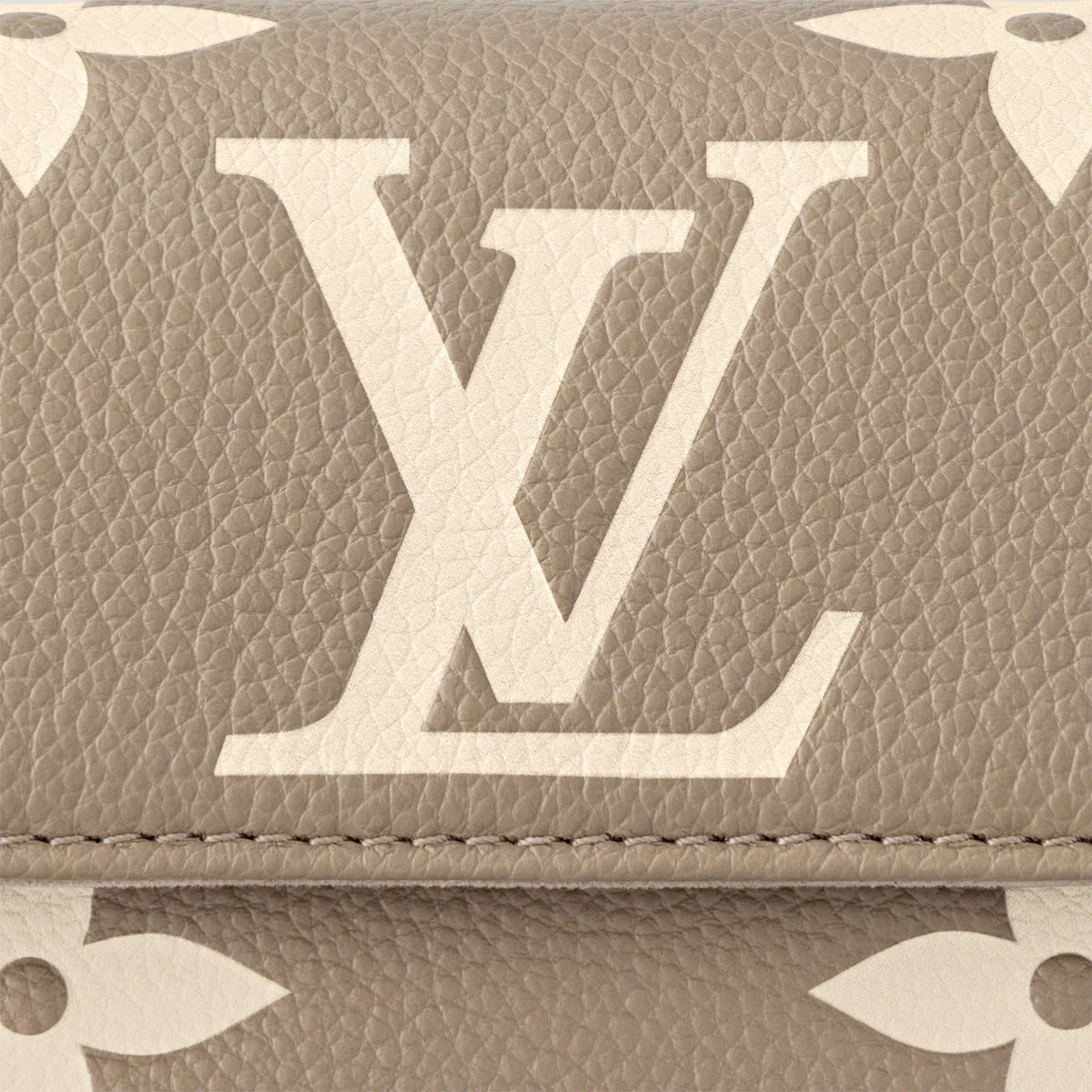 Wallet On Chain Ivy