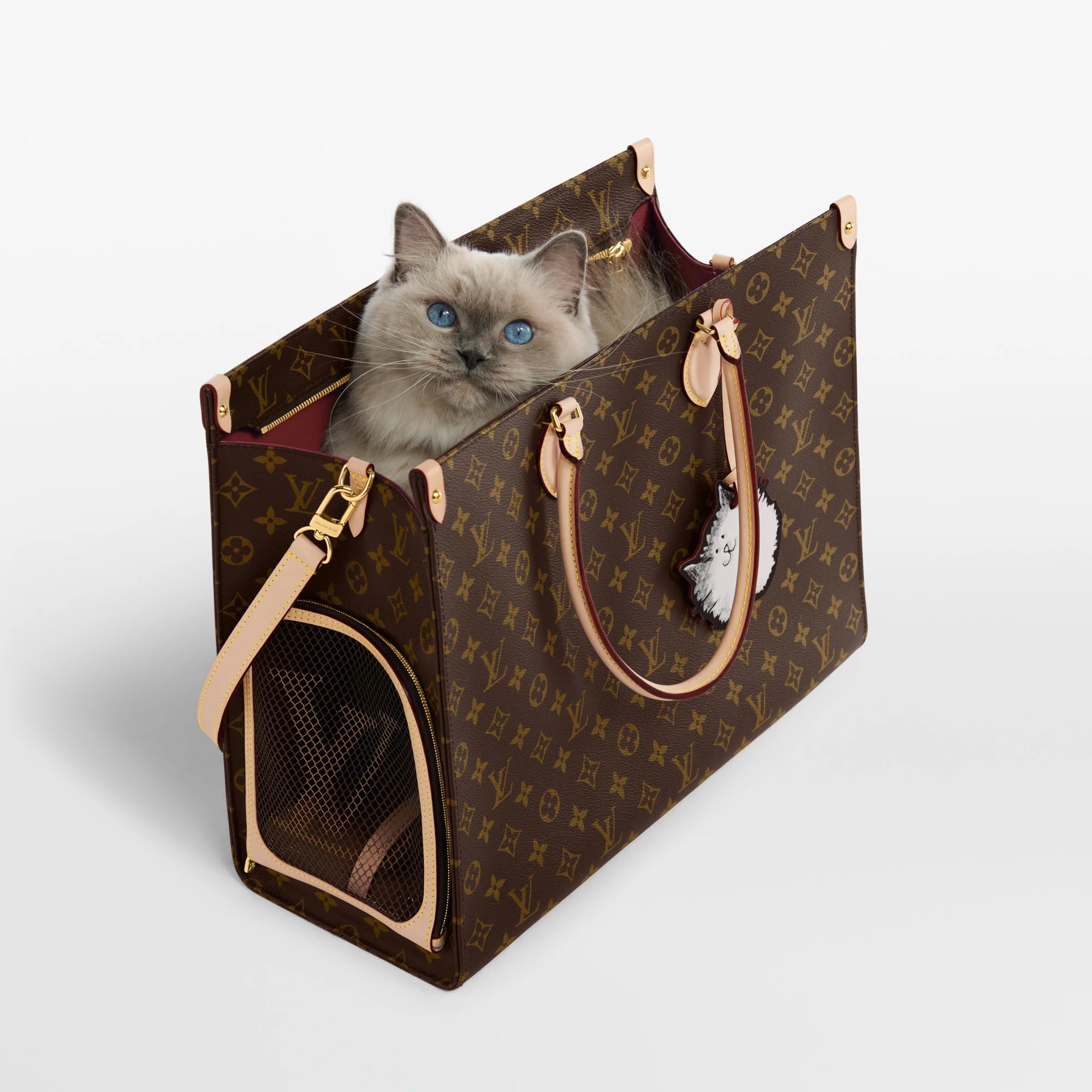 OnTheGo Cat