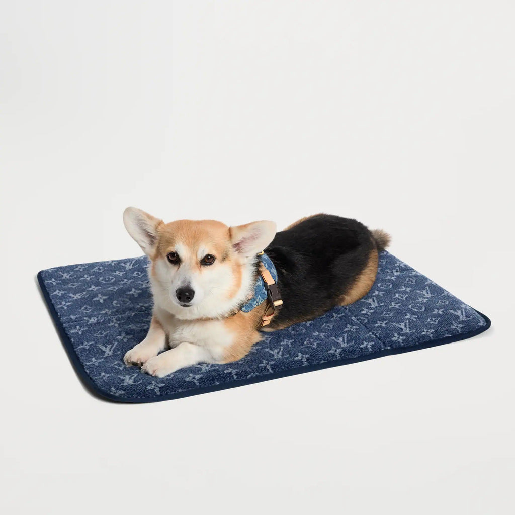 Travel Dog Carpet