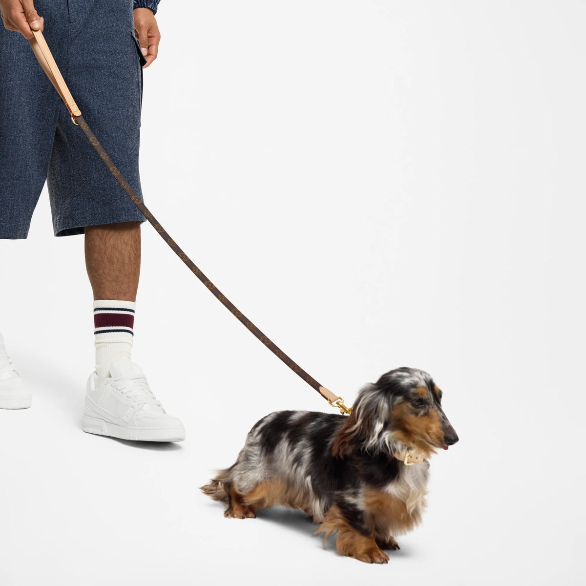 Dog Leash PM