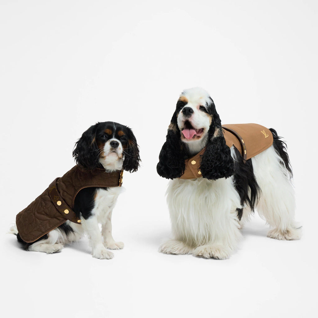 Waterproof dog coat MM