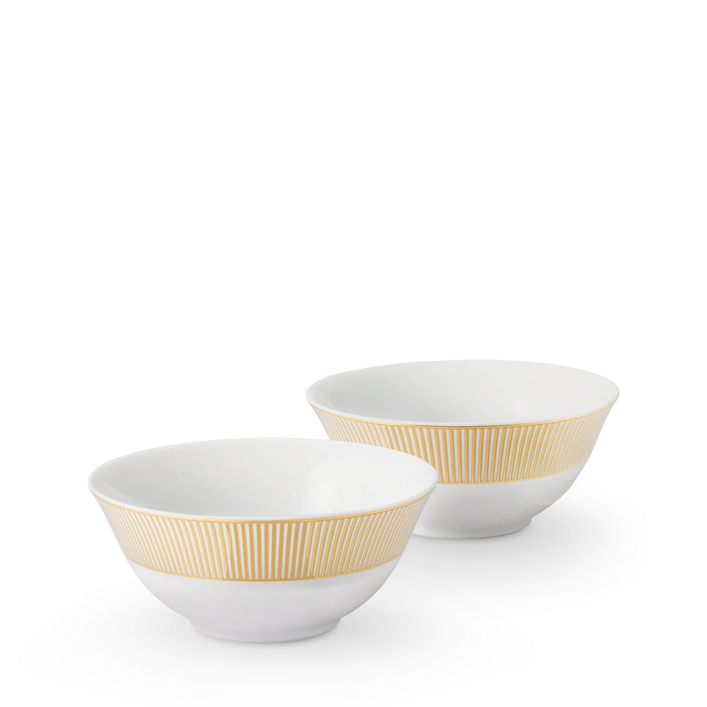 Splendor Set of 2 Rice Bowls