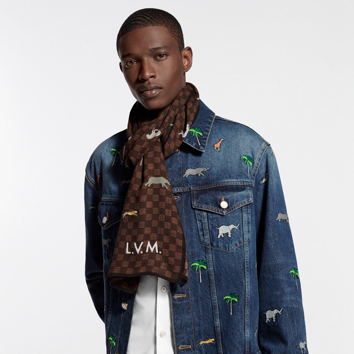 LV x The Darjeling Limited Damier Stole