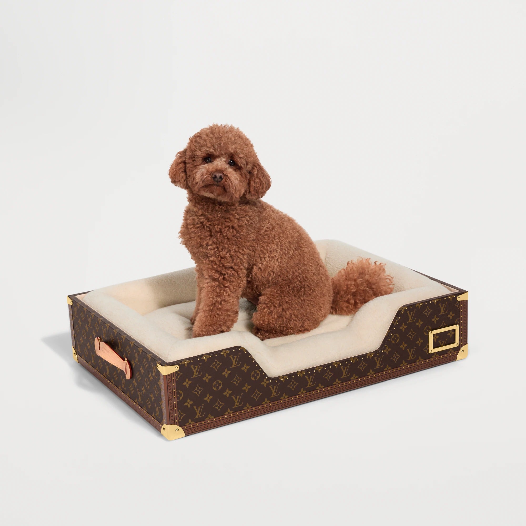 Dog Bed Trunk