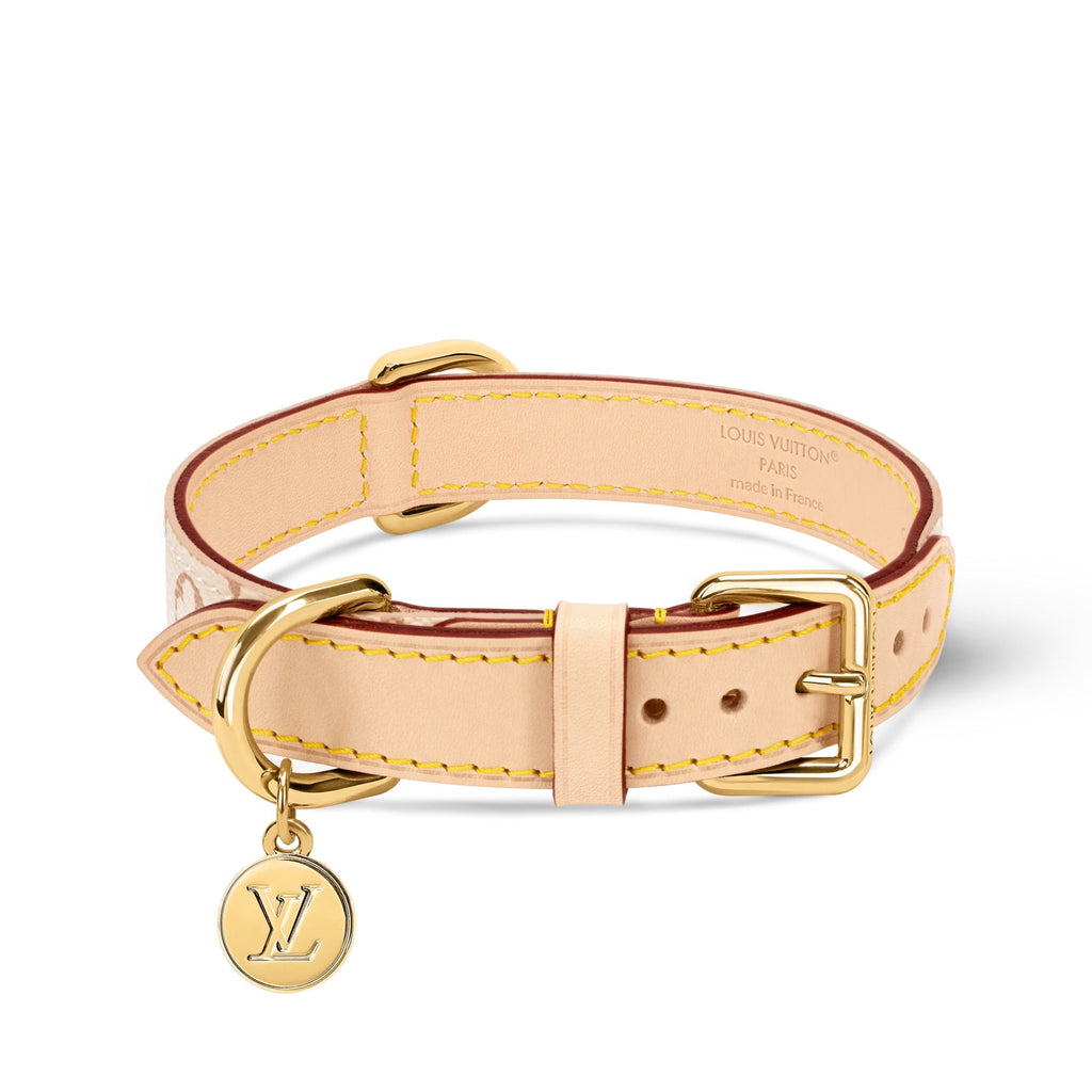 Dog Collar PM