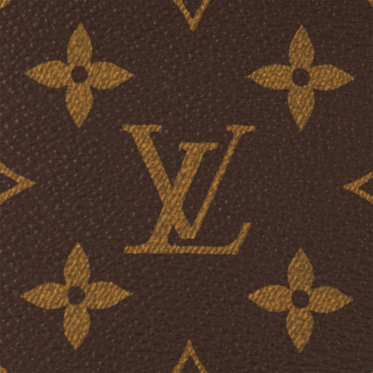 Wallet On Chain Ivy
