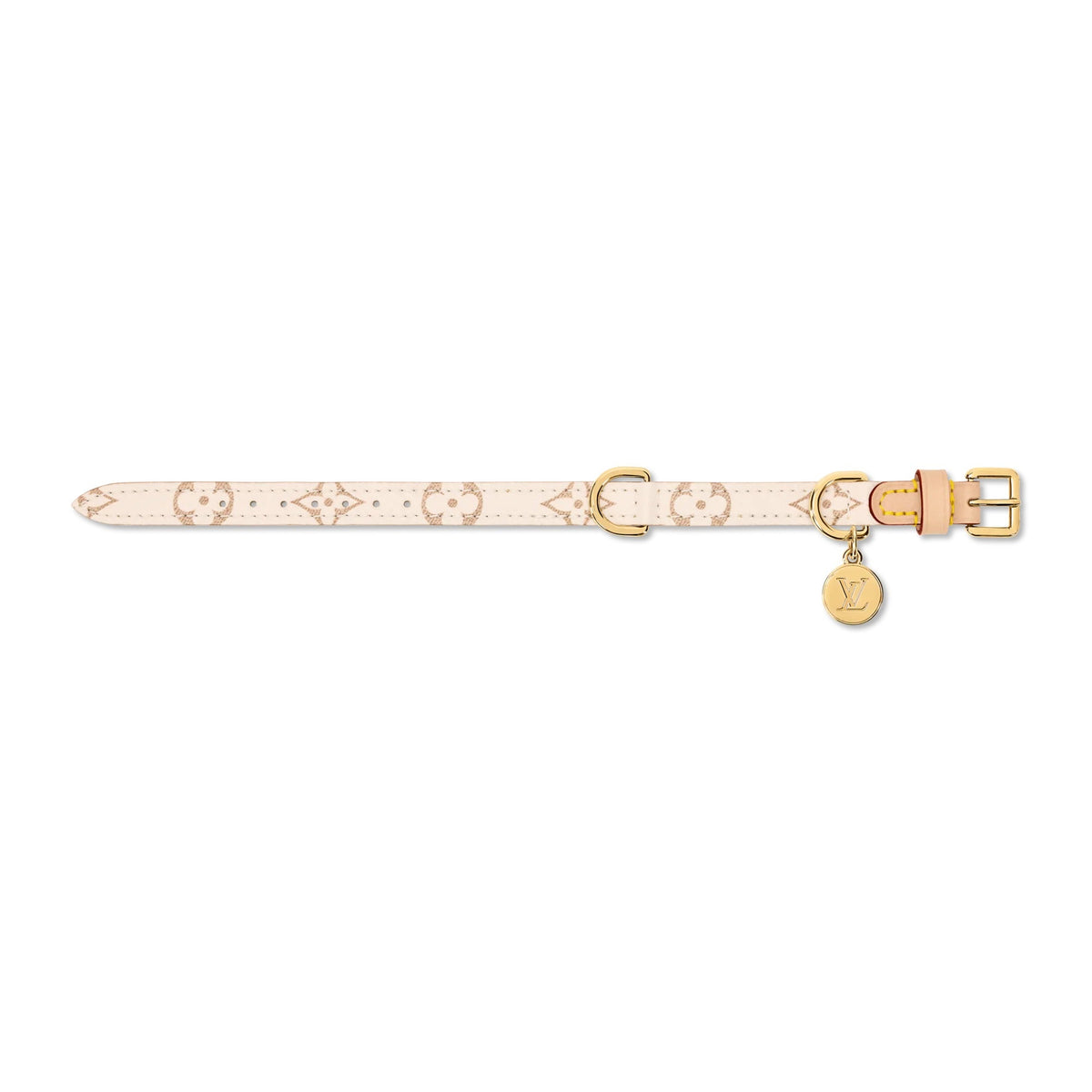 Dog Collar XS