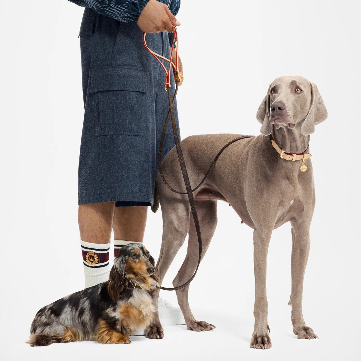 Dog Leash MM