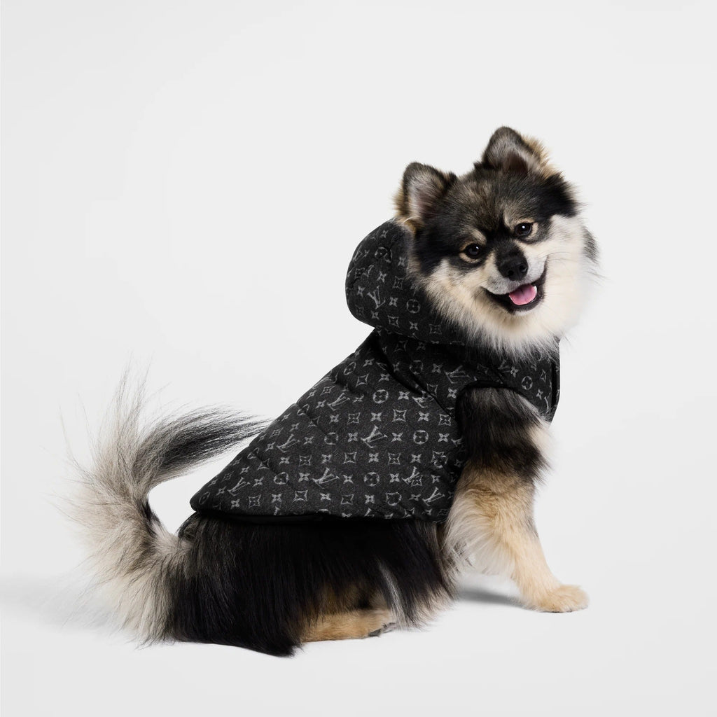 Dog Puffer Jacket PM