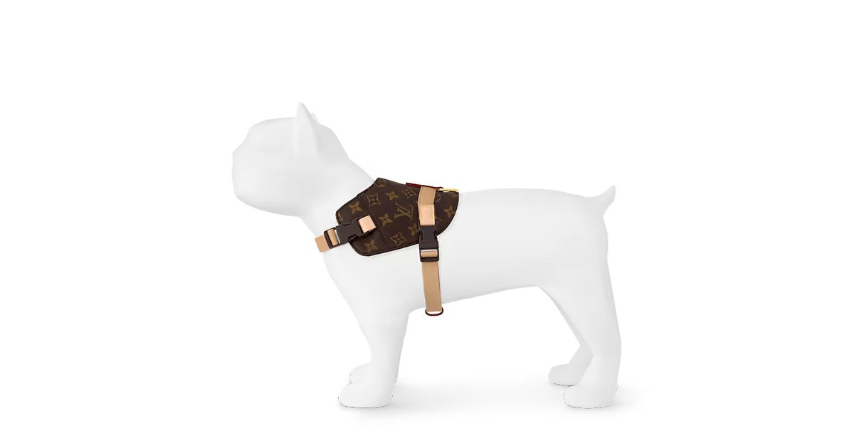 Harness MM