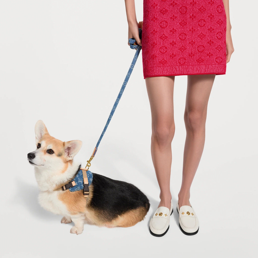 Dog Leash MM