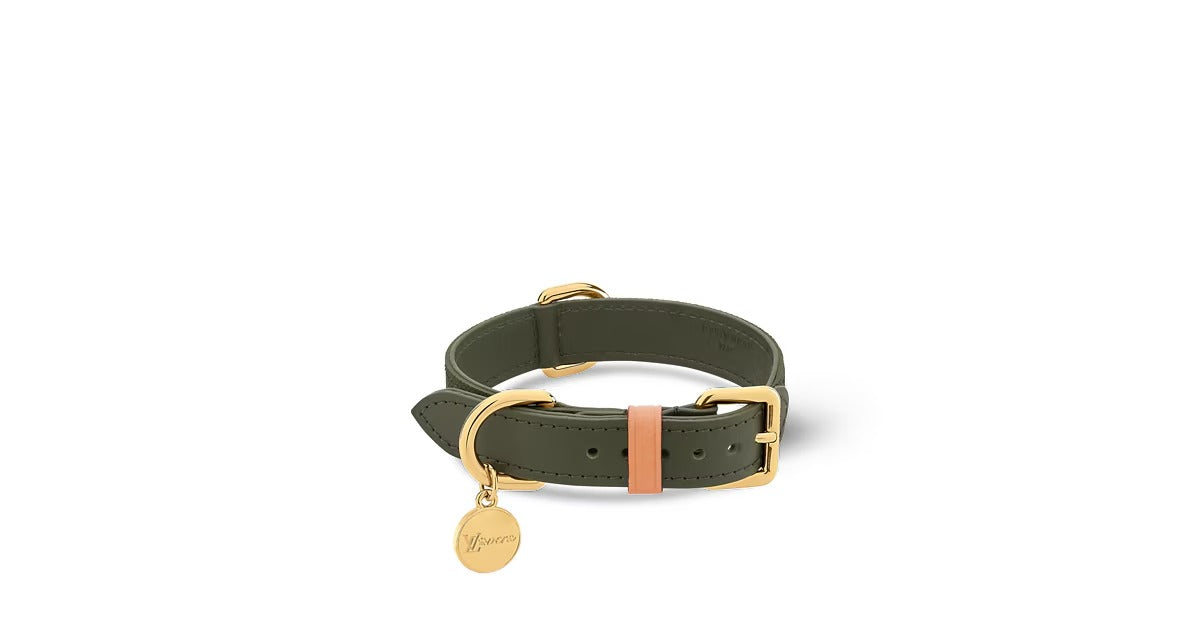 Dog Collar PM