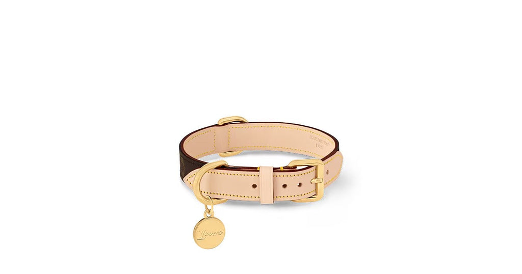 Dog Collar PM