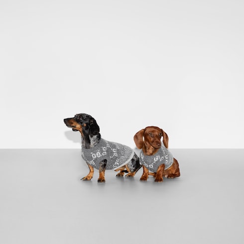 pet sweater - Wool jacquard