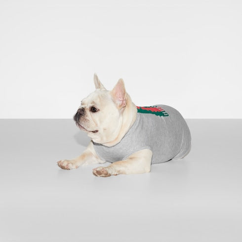 Printed cotton pet T-shirt - light grey