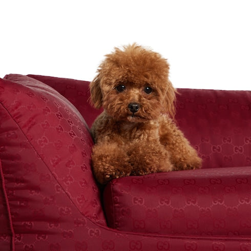 Small GG nylon pet bed - Rosso Ancora red