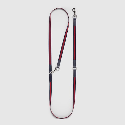 Crossbody pet leash - blue and red