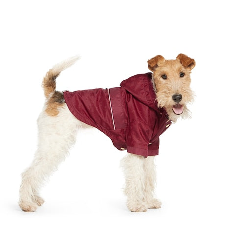 GG nylon pet rain coat - Rosso Ancora red