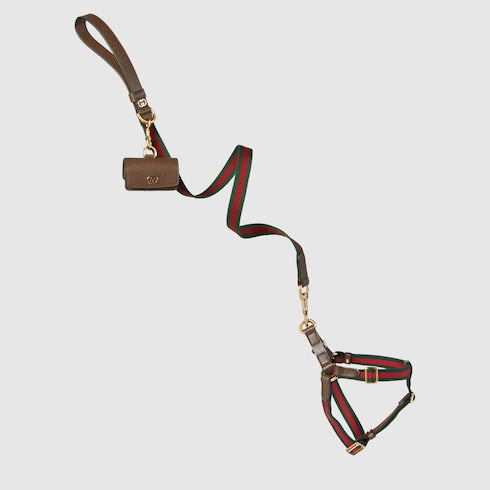 Large Web pet leash - green and red Web canvas