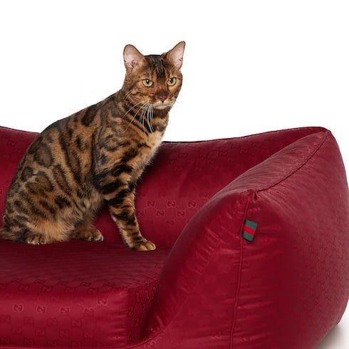 Small GG nylon pet bed - Rosso Ancora red