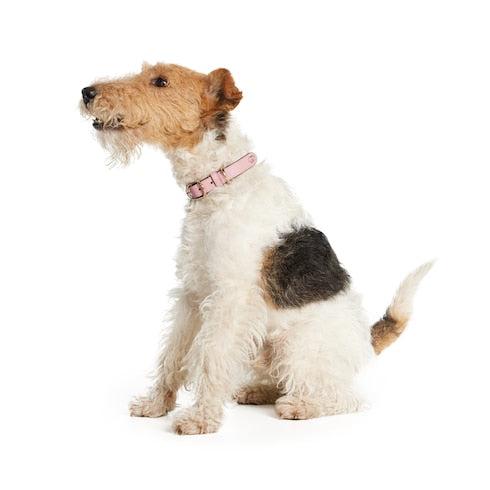 Small/medium collar - powder pink fabric