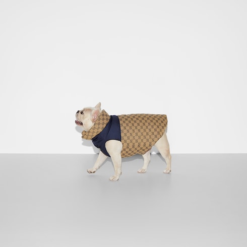 Reversible GG pet coat - beige and blue